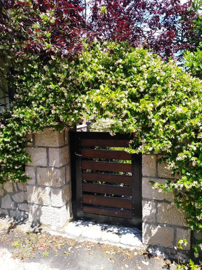 Dryas Guesthouse Polydrossos Exterior foto